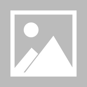华体会app下载-新多纳鲁马？队报：巴黎接近签下AC米兰16岁门将隆戈尼